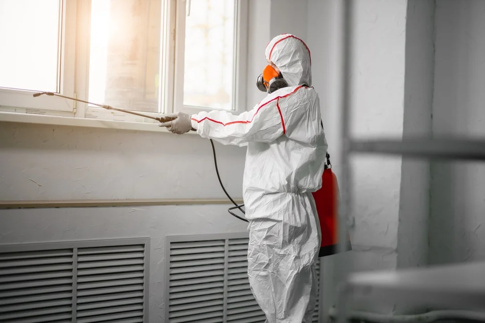Professional mold remediation services in Excelsior Springs, MO